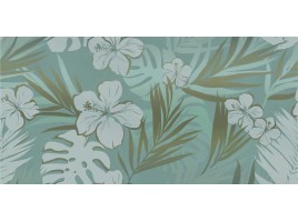 Colores (Керлайф)