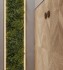 Rockwood (Arcadia Ceramica)