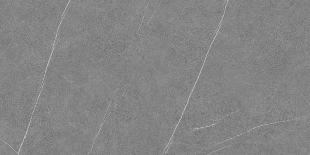 Керамогранит Living Ceramics Allure Grey Anti-Slip 60x120 LV11164