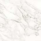 Керамогранит Ceradim Carrara Immense Белый Полированный 60x60