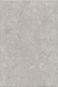 Плитка Kerama Marazzi Ферони серый матовый 20x30 настенная 8348