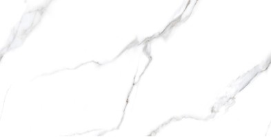 Керамогранит Staro Rizzi Statuario Carvino Polished 60x120 83249131 Керамогранит Staro Rizzi Statuario Carvino Polished 60x120 83249131