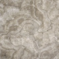 Керамогранит Beryoza Ceramica Velvet Бежевый GP 50x50