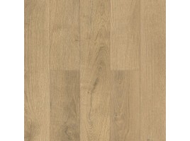 Titan 8 (Alpine Floor)