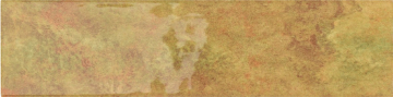 Tropicana Canary