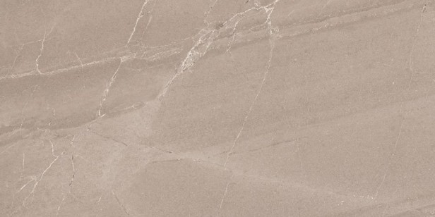 Керамогранит Ceramiche Piemme Geostone Terra Nat Ret 45x90 03884