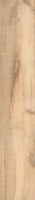 Керамогранит Alpas Euro Wood Vocore Camel 20x120 N177282