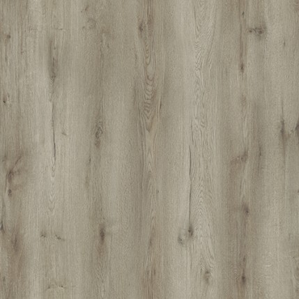 Royalife (Kronostar)