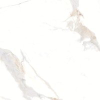 Керамогранит Ocean Ceramic Statuario Marco 60x60 OC0000114 Керамогранит Ocean Ceramic Statuario Marco 60x60 OC0000114