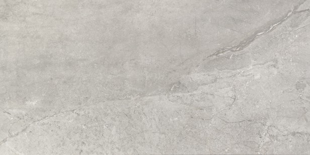 Керамогранит ProConcept Oxford Grey 60x120 225520