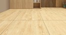 Керамогранит ProGRES Ceramica KeraForest Коричневый Светлый 60x60 NR0380
