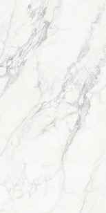 Керамогранит Terramic Tiles Arctic Veil Матовый Карвинг 60x120 TR61206T