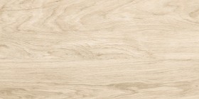 Керамогранит Alma Ceramica Brentwood Матовый 30x60 GFA3060BWD04R