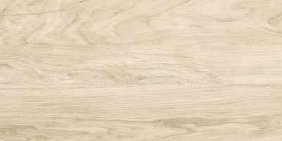 Керамогранит Alma Ceramica Brentwood Матовый 30x60 GFA3060BWD04R Керамогранит Alma Ceramica Brentwood Матовый 30x60 GFA3060BWD04R