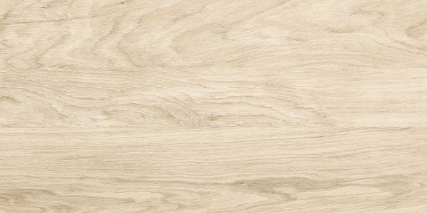 Керамогранит Alma Ceramica Brentwood Матовый 30x60 GFA3060BWD04R