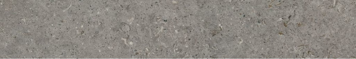 Керамогранит Living Ceramics Bera And Beren Dark Grey Antislip 10x60 LV10296 Керамогранит Living Ceramics Bera And Beren Dark Grey Antislip 10x60 LV10296