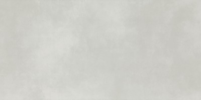 Керамогранит Pamesa Ceramica Omnia Neutro Rec 60x120 035.869.0260.00099