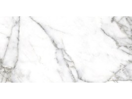 Artic (Navarti)