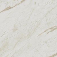 Керамогранит Gardenia Orchidea Unique Marmi Calacatta Soft Matt 80x80 57904