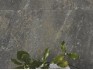 Керамогранит Rocersa Stonehenge Grey Rect 60x120