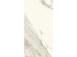 Caesar Anima Ever