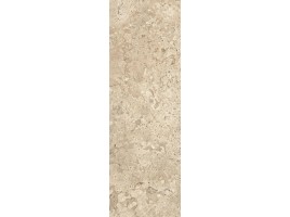 9529 (Porcelanite Dos)