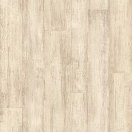 Junior (Синтерос)