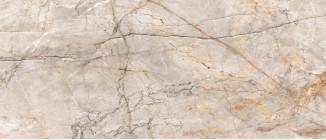 Керамогранит Neodom Titanium Silver River Classic Polished 120x280 N80007