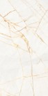 Керамогранит Flaviker Supreme Hedonism Gold Spider Nat Rett 60x120 PF60017518