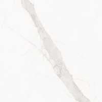 Керамогранит Living Ceramics Blanc Calacatta Gold Soft 120x120 LV10629
