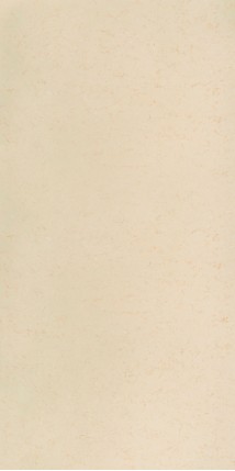 Standard (Technistone)