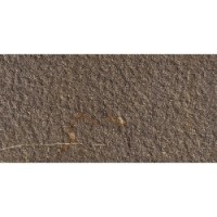 Contempora Burn Struct