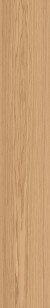 Oku Modern Cognac