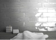 Mayolica (Living Ceramics)