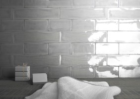 Mayolica (Living Ceramics)