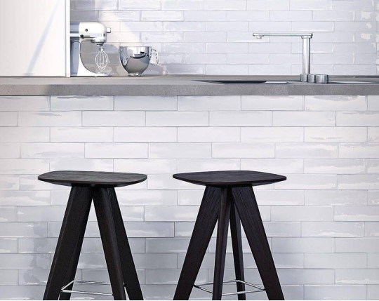 Mayolica (Living Ceramics)