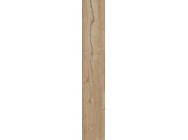 Ragno Woodtale