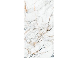 Gilt Years (Delfone)