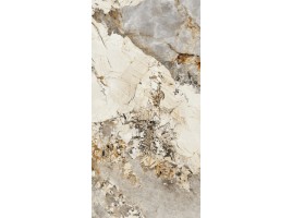 Arista (Protiles)