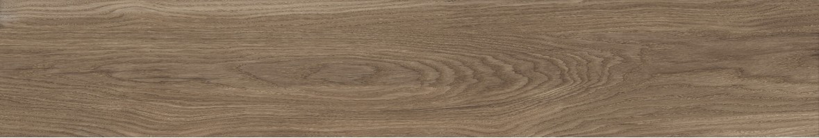 Bloom Cognac Sp