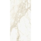 Eternum Carrara