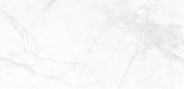 Carrara Silver Matt