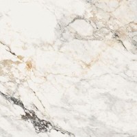 Керамогранит La Faenza Aesthetica 120x120 AePao6120Rm Керамогранит La Faenza Aesthetica 120x120 AePao6120Rm
