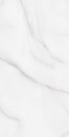 Керамогранит Arcadia Ceramica Feather Onyx 60x120 RT7012-A