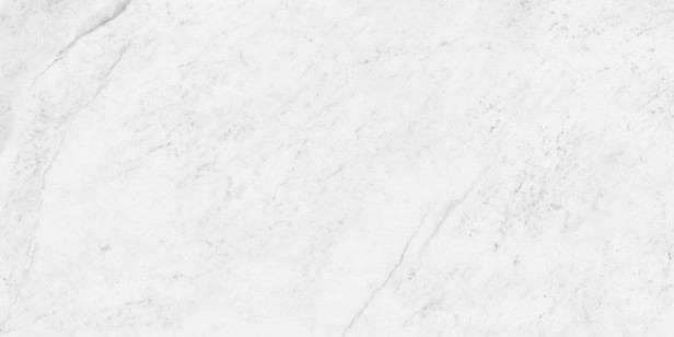 Керамогранит Neodom Classic Marble Carrara Antique Polished 60x120 N12033
