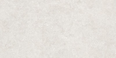 Керамогранит Living Ceramics Oda Ice Anti-Slip 59.8x119.8 LV12144 Керамогранит Living Ceramics Oda Ice Anti-Slip 59.8x119.8 LV12144