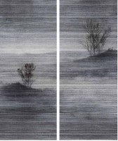 Керамогранит Favania Zebrino Book Match And Dry Effect 120x300 