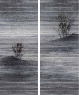 Керамогранит Favania Zebrino Book Match And Dry Effect 120x300 