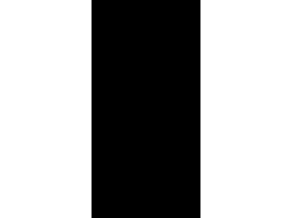 ASCALE Grum Black