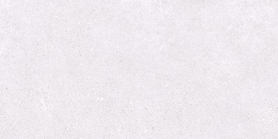 Керамогранит Basalt Exceptional Snow Light Grey Matte